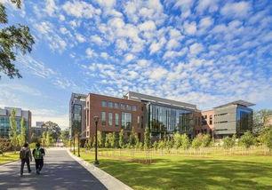 娱乐吃瓜酱洛阳理工学院,娱乐吃瓜酱带你揭秘校园风云