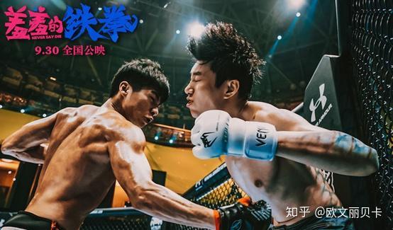 羞羞的铁拳故事背景,性别错位下的爱情与奋斗